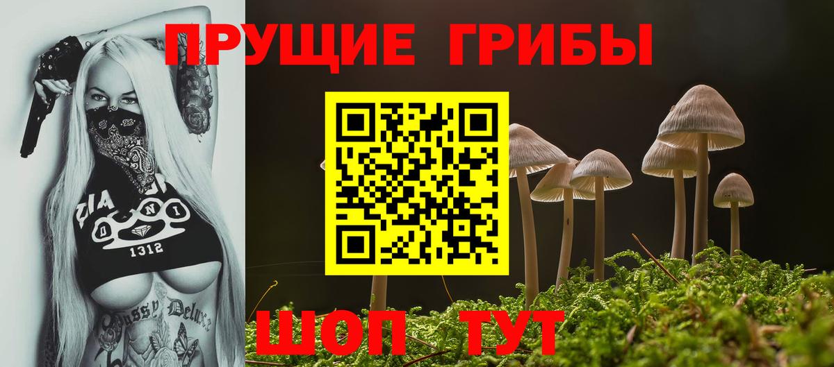 купить наркоту  Вход с VPN  Галлюциногенные грибы Cubensis  Балтийск  Псилоцибиновые грибы Cubensis 